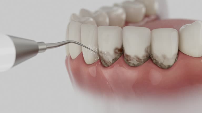 Reliable Dental contractor in Lewiston, ID by Dentist Open Now